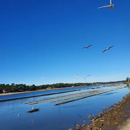 Le Pavillon Bleu Hotel Soorts-Hossegor