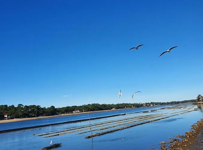 Le Pavillon Bleu Hotel Soorts-Hossegor
