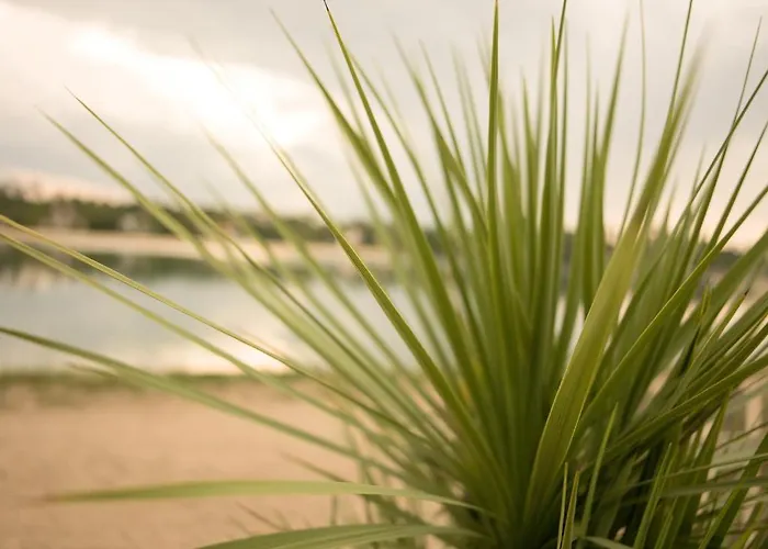 Hotel Le Pavillon Bleu 3*