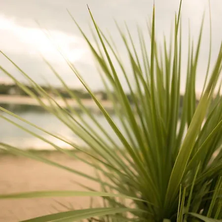 Le Pavillon Bleu 3* Soorts-Hossegor