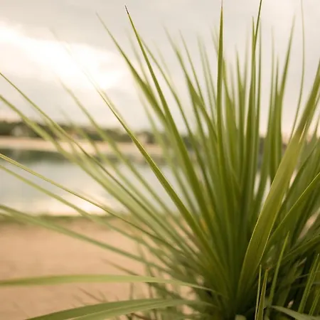 מלון Le Pavillon Bleu 3*