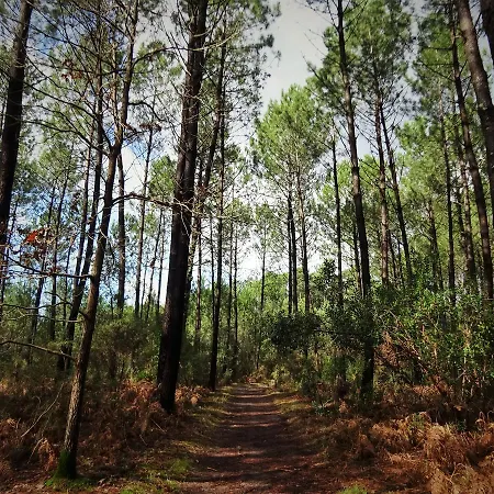 Le Pavillon Bleu מלון 3*