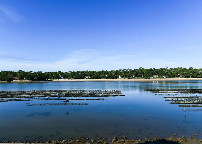 Hotel Le Pavillon Bleu 3*