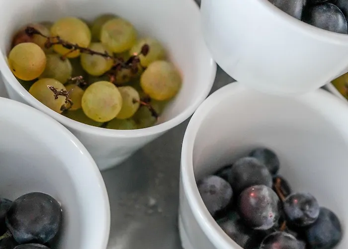 Hotel Le Pavillon Bleu 3*