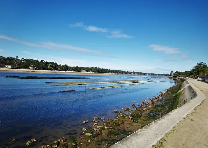 Hotel Le Pavillon Bleu Soorts-Hossegor