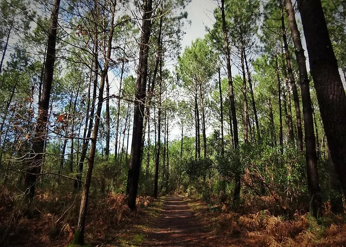 Le Pavillon Bleu Hotel 3*